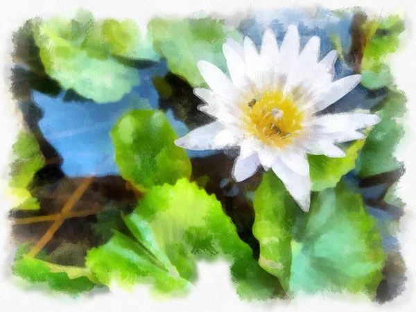 Weiße Lotusblüten Haben Gelbe Staubgefäße Aquarell Stil Illustration Impressionistische Malerei — Stockfoto