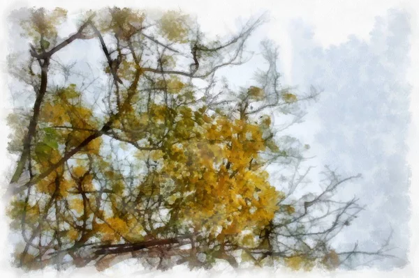 Ratchaphruek Tree Large Bunch Yellow Flowers Watercolor Style Illustration Impressionist — Fotografia de Stock