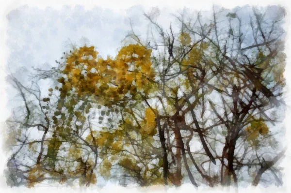 Ratchaphruek Tree Large Bunch Yellow Flowers Watercolor Style Illustration Impressionist — Stock Photo, Image