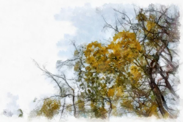 Ratchaphruek Tree Large Bunch Yellow Flowers Watercolor Style Illustration Impressionist — Foto Stock