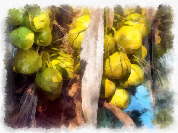 Kokosový Strom Plný Kokosových Ořechů Akvarel Styl Ilustrace Impresionista Malba — Stock fotografie