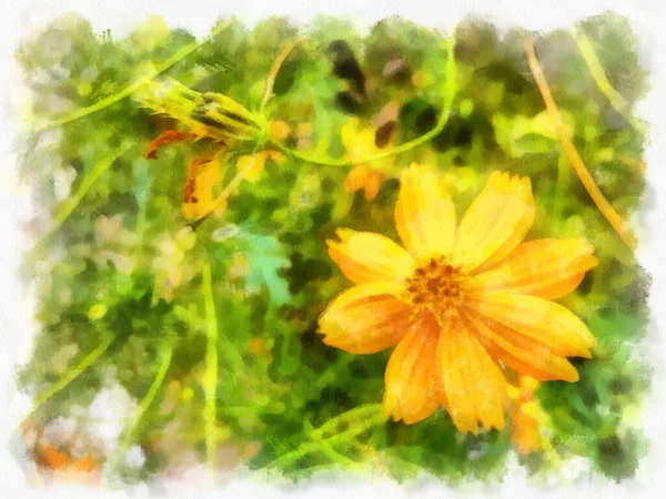 Gelbe Starburst Blumen Aquarell Stil Illustration Impressionistische Malerei — Stockfoto