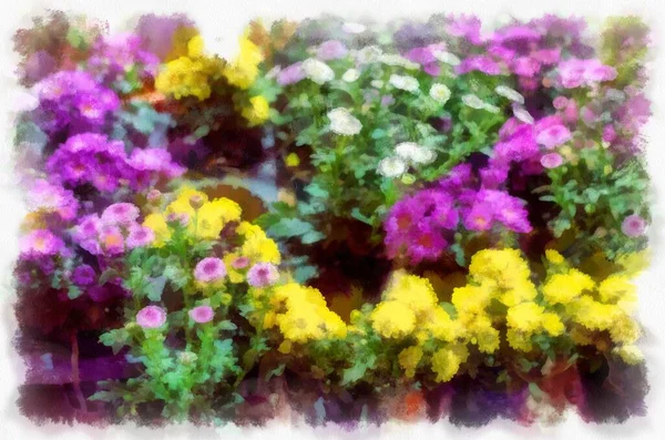 Wiele Kolorowych Roślin Kwiatów Sklepie Roślin Akwarela Styl Ilustracja Impresjonistyczne — Zdjęcie stockowe