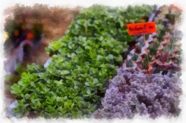 Nombreuses Plantes Fleurs Colorées Dans Boutique Plantes Aquarelle Style Illustration — Photo