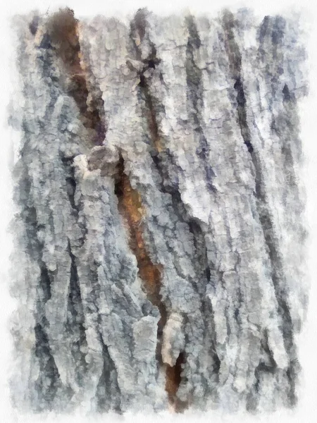 Υφή Του Φλοιού Στη Ζωγραφική Ιμπρεσιονιστική Εικονογράφηση Στυλ Δέντρο Ακουαρέλα — Φωτογραφία Αρχείου