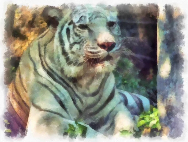 Biały Tygrys Śpi Krzakach Akwarela Styl Ilustracja Impresjonista Malarstwo — Zdjęcie stockowe