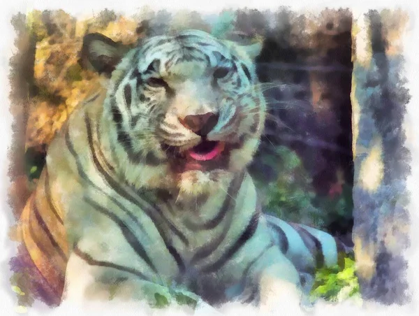 Tigre Blanc Dormir Dans Les Buissons Aquarelle Style Illustration Peinture — Photo