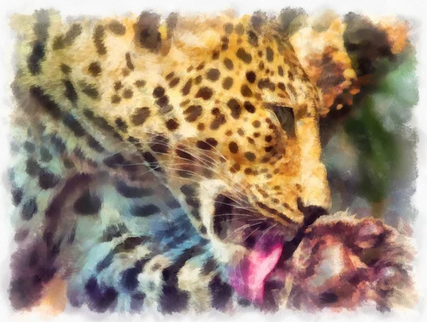 Leopard Verschiedenen Posen Aquarell Stil Illustration Impressionistische Malerei — Stockfoto