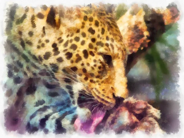 Leopardo Diferentes Poses Acuarela Estilo Ilustración Pintura Impresionista — Foto de Stock
