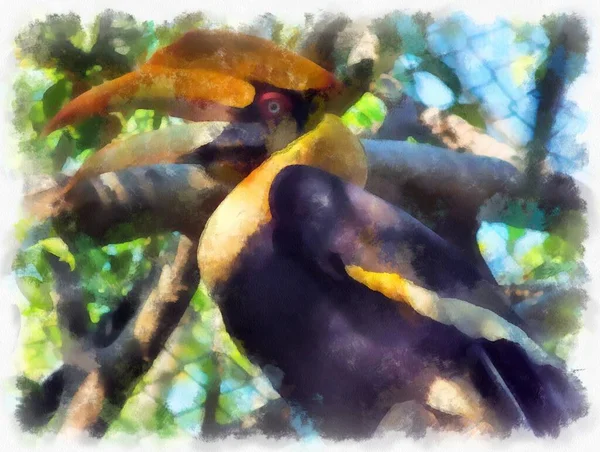 Hornbill Árbol Acuarela Estilo Ilustración Pintura Impresionista —  Fotos de Stock