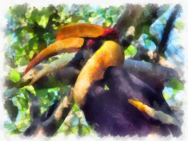 Hornbill Για Δέντρο Ακουαρέλα Εικονογράφηση Ιμπρεσιονιστική Ζωγραφική Στυλ — Φωτογραφία Αρχείου