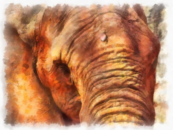 Cabeça Elefante Aquarela Estilo Ilustração Impressionista Pintura — Fotografia de Stock