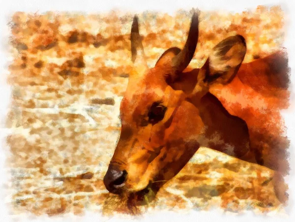Άγρια Αγελάδα Κεφάλι Ακουαρέλα Στυλ Εικονογράφηση Ιμπρεσιονιστής Ζωγραφική — Φωτογραφία Αρχείου