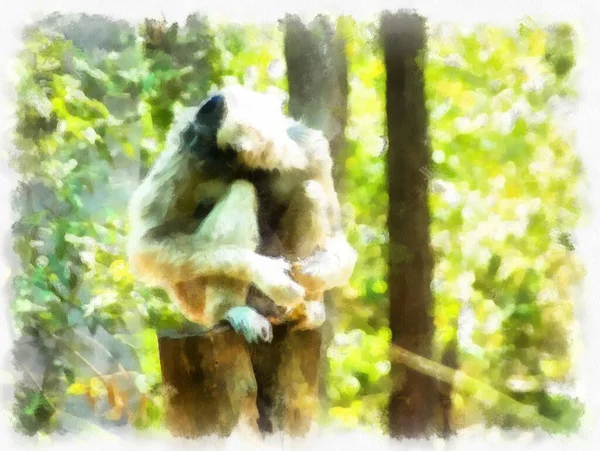 Gibbon Logu Akwarela Styl Ilustracja Impresjonista Malarstwo — Zdjęcie stockowe