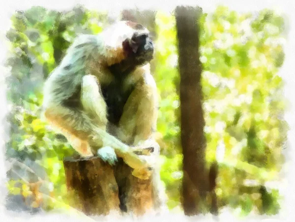 Gibbon Log Akvarell Stil Illustration Impressionist Målning — Stockfoto