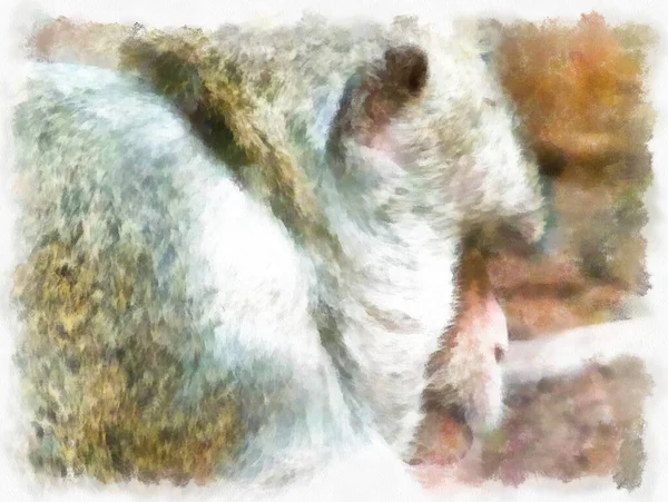 Twarz Małpy Różnych Gestach Akwarela Styl Ilustracji Impresjonistyczne Malarstwo — Zdjęcie stockowe