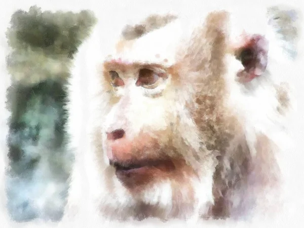 猴的脸在各种姿态水彩画中表现出印象派绘画风格 — 图库照片