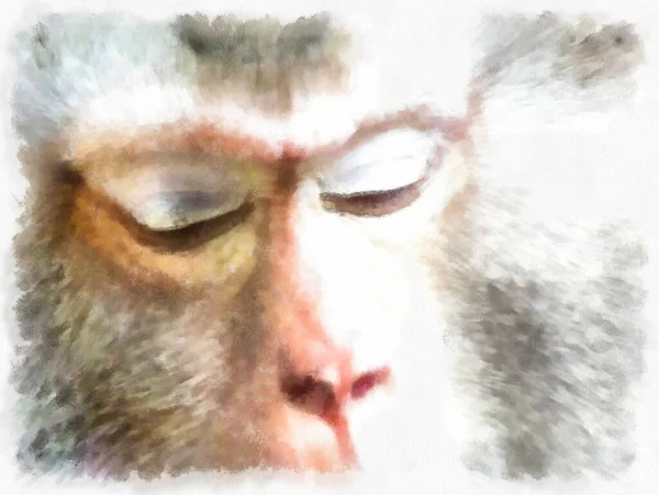 Rosto Macaco Vários Gestos Aquarela Estilo Ilustração Impressionista Pintura — Fotografia de Stock
