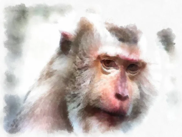 Monkey Face Various Gestures Watercolor Style Illustration Impressionist Painting — Stock Photo, Image