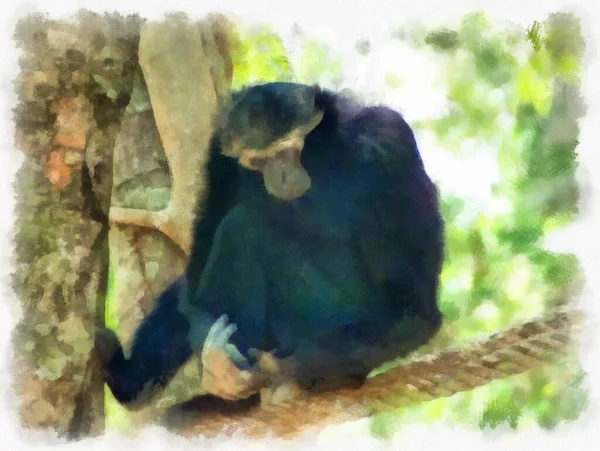 Gibbon Sur Journal Aquarelle Style Illustration Peinture Impressionniste — Photo