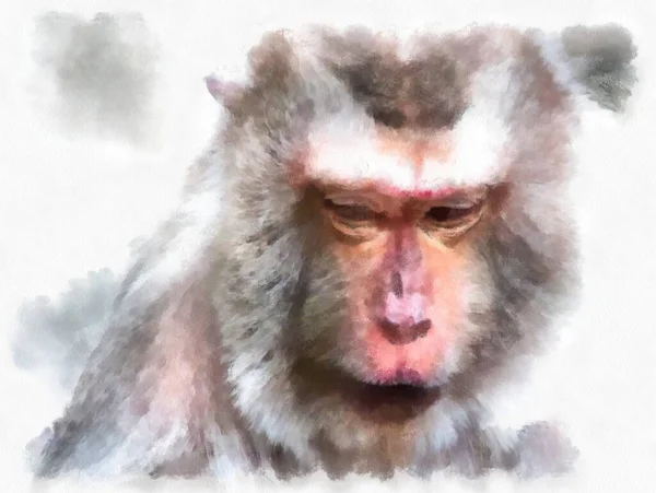 Rosto Macaco Vários Gestos Aquarela Estilo Ilustração Impressionista Pintura — Fotografia de Stock