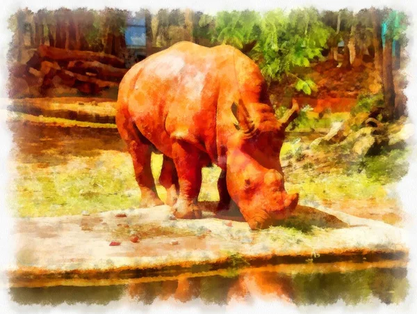 Grande Arancio Rinoceronte Acquerello Stile Illustrazione Impressionista Pittura — Foto Stock