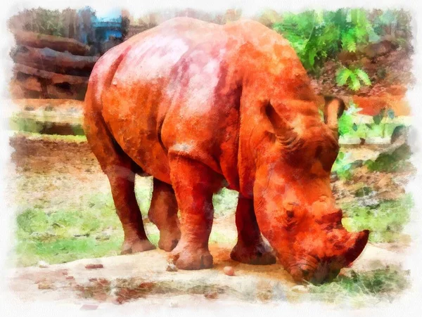 Grande Arancio Rinoceronte Acquerello Stile Illustrazione Impressionista Pittura — Foto Stock