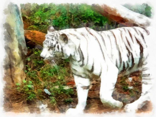 Tigre Blanc Aquarelle Style Illustration Peinture Impressionniste — Photo