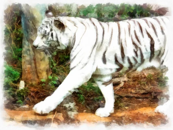 Tigre Branco Aquarela Estilo Ilustração Impressionista Pintura — Fotografia de Stock