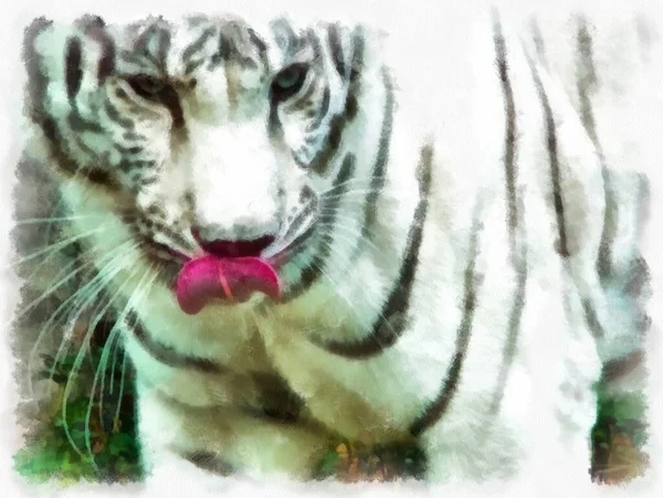 Biały Tygrys Akwarela Styl Ilustracja Impresjonista Malarstwo — Zdjęcie stockowe