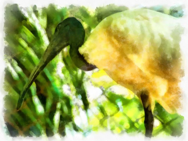 Egret Για Δέντρο Ακουαρέλα Εικονογράφηση Ιμπρεσιονιστική Ζωγραφική Στυλ — Φωτογραφία Αρχείου