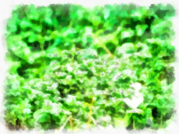 Kleine Blumen Auf Dem Gras Aquarell Stil Illustration Impressionistische Malerei — Stockfoto