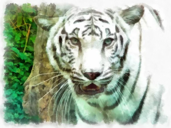 Tigre Blanc Aquarelle Style Illustration Peinture Impressionniste — Photo