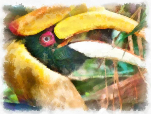 Hornbill Fej Akvarell Stílus Illusztráció Impresszionista Festmény — Stock Fotó