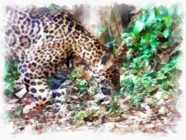 Leopard Olika Gester Akvarell Stil Illustration Impressionist Målning — Stockfoto