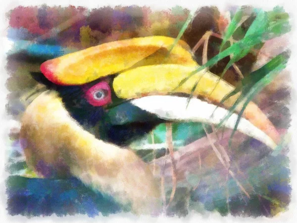 Hornbill Επικεφαλής Ακουαρέλα Στυλ Εικονογράφηση Ιμπρεσιονιστική Ζωγραφική — Φωτογραφία Αρχείου