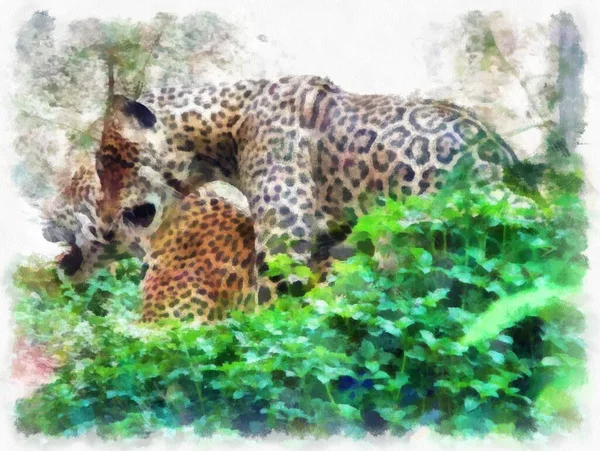 不同姿态的豹子水彩画印象派绘画 — 图库照片