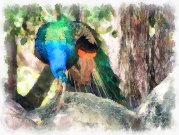 Mavi Yeşil Tavus Kuşu Suluboya Resim Çizimi — Stok fotoğraf