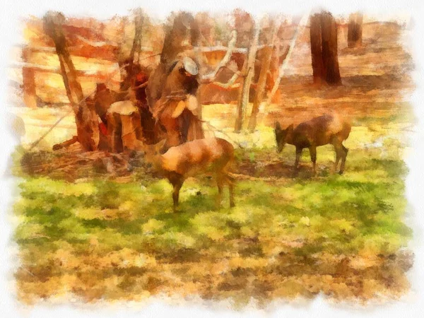 Herd Deer Shade Watercolor Style Illustration Impressionist Painting — Stock Photo, Image