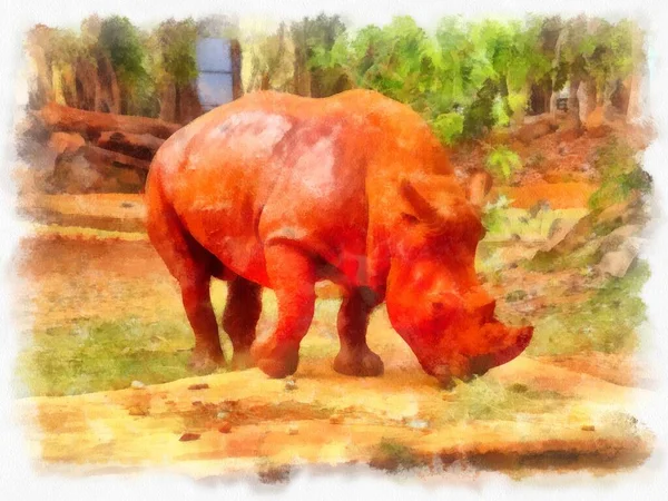 Stor Orange Noshörning Akvarell Stil Illustration Impressionist Målning — Stockfoto