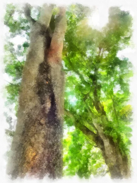 Big Tree Scenery Watercolor Style Illustration Impressionist Painting — Stock Photo, Image