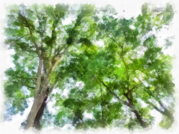 Großen Baum Landschaft Aquarell Stil Illustration Impressionistische Malerei — Stockfoto