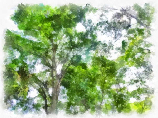 Duży Drzewo Dekoracje Akwarela Styl Ilustracja Impresjonista Malarstwo — Zdjęcie stockowe