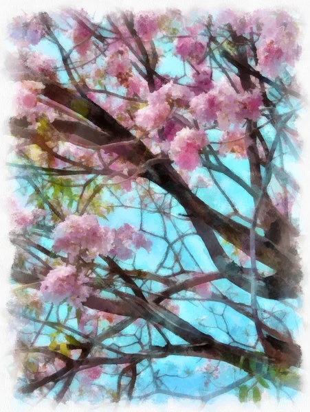 Velký Strom Plný Růžových Květin Akvarel Styl Ilustrace Impresionista Malba — Stock fotografie