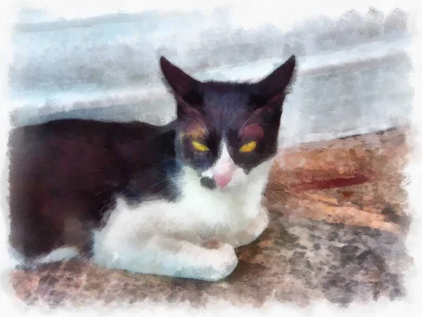 Kucing Liar Adalah Lukisan Impresionis Gaya Cat Air Hitam Dan — Stok Foto