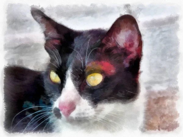 Stray Cats Black White Watercolor Style Illustration Impressionist Painting — Stock Photo, Image