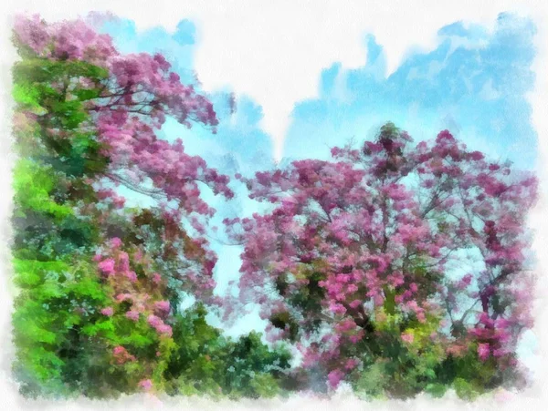 Big Tree Full Pink Flowers Watercolor Style Illustration Impressionist Painting — Stock Photo, Image
