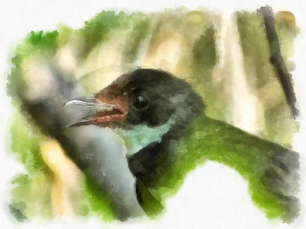 Small Magpie Watercolor Style Illustration Impressionist Painting — Foto Stock