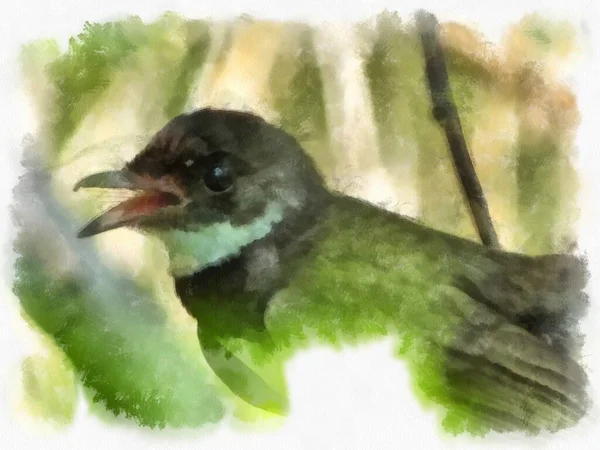 Small Magpie Watercolor Style Illustration Impressionist Painting — Foto Stock