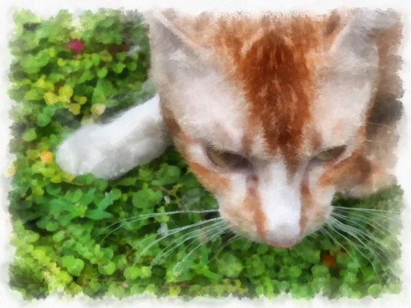 White Orange Cat Grass Watercolor Style Illustration Impressionist Painting — Foto de Stock